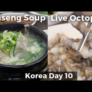 Live Octopus & Chicken Ginseng Soup (Day 10)