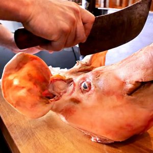 New York City Food - PIG HEAD TACOS Pork Terrine Palo Santo Brooklyn NYC