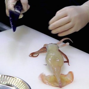 Street Food Japan - Squid Sashimi