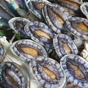 제주도에서 즐길 수 있는 해산물 음식 6선 (제주관광협회와 아프리카TV의 지원 컨텐츠) / Korea Jeju Island Seafood Collection