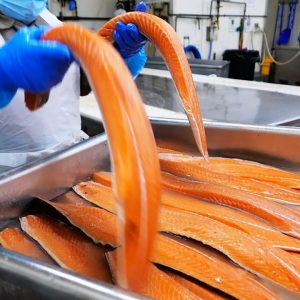 New York City Food - The BIGGEST Smoked Salmon Factory! Acme Smoked Fish NYC