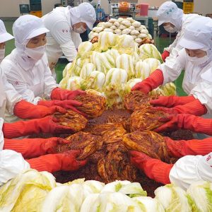 K-FOOD의 진수! 국산재료로 만드는 다양한 김치의 생생한 대량생산 현장(배추김치, 오이김치, 파김치, 깻잎김치) - Mass production of various kimchi
