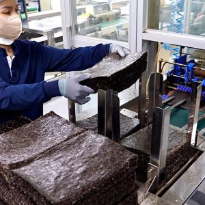 놀랍습니다! 김 공장의 다양한 김과 국내 최초 미역 자반 생산 과정 Seaweed snack production process at a food factory in Korea