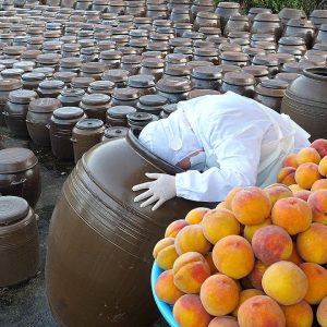 빵하나에 놀라운 정성! 직접 만든 복숭아 발효액을 넣은 명품 복숭아밤빵 / Amazing! peach chestnut bread - korean food factory
