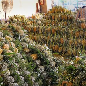엄청난 규모! 태국의 세계최대 과일시장 딸랏타이의 파인애플시장 / tremendous! World's Largest Thai Fruit Market (Pineapple)