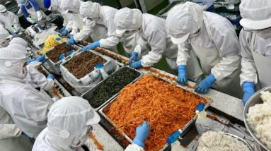 The world was amazed! Amazing frozen kimbap mass production process - Korean food factory / 냉동 김밥 공장