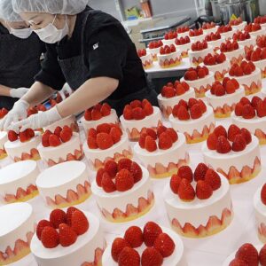 예약필수! 크리스마스,연말연시에 제일 힘들어요, 압도적인 수제 딸기케익 대량생산 / korea bakery Factory