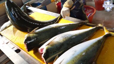생생한 현장! 동해 가두리 양식장부터 해체까지의 극한체험, 대방어회 대량생산 / korean fish factory