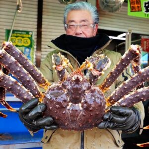 Japanese Street Food - GIANT ALASKAN KING CRAB Sashimi Hakodate Hokkaido Seafood Japan